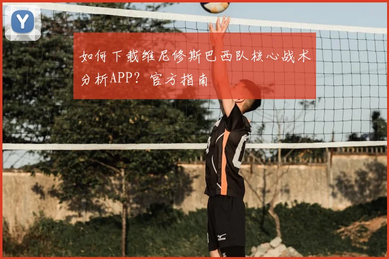 如何下载维尼修斯巴西队核心战术分析APP？官方指南