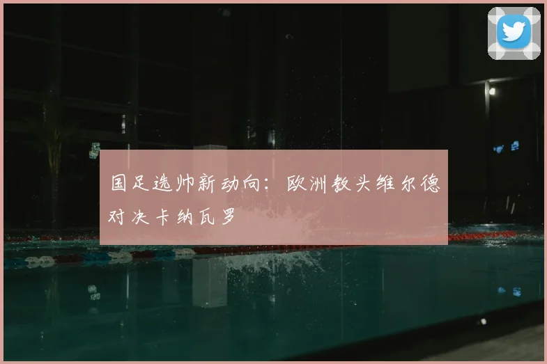 国足选帅新动向：欧洲教头维尔德对决卡纳瓦罗