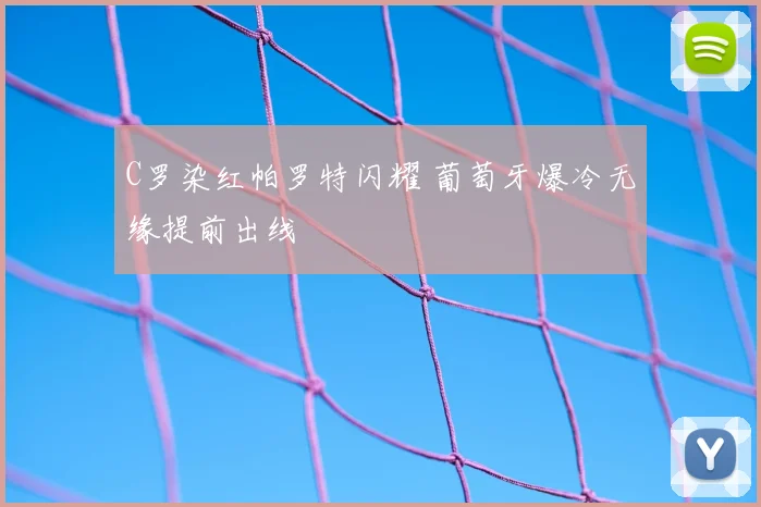 C罗染红帕罗特闪耀 葡萄牙爆冷无缘提前出线