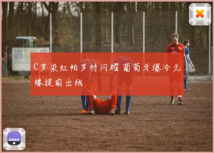 C罗染红帕罗特闪耀 葡萄牙爆冷无缘提前出线